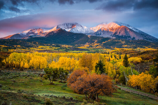 Mt Sopris Sunrise. A forest of color and mountain range in Colorado