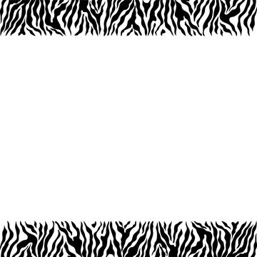 Abstract geometric frame on the skin of a zebra