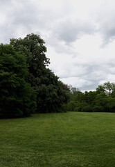 Fototapeta premium Lush Lawn Clouded Sky
