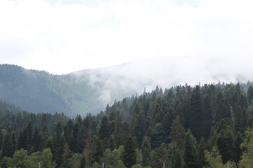 Fog in the mountains