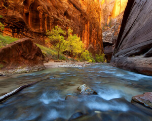 The Virgin River cuts through deep sandstone, complemented by golden light and colorful foliage.