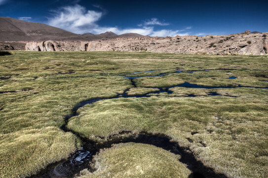 Small streams of water in the desert of SW Bolivia create green vegetation in an otherwise dry area.