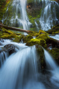 Water cascades through the forest and foliage of Proxy Falls in the Cascades range of Oregon.