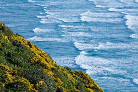 Beach and coastline on the Pacific Ocean near Florence, Oregon