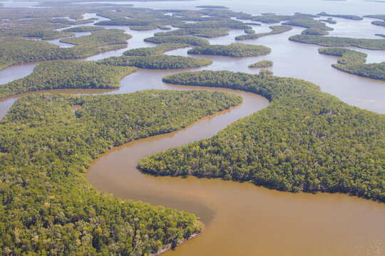 Mangrove creeks and islands photographed from a helicopter within Everglades National Park, Florida.