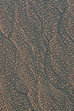 Water and wind create intricate patterns in the sand on a southern California beach.