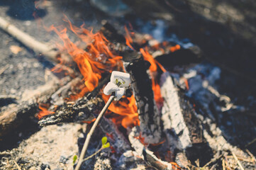 Sweet marshmallow on a stick its toasting at the stake in summer forest in the evening. Vacation and travelling.