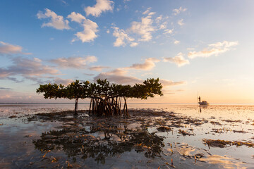 A boater uses a push pole to navigate the mangrove flats of Florida Bay within Everglades National Park, Florida.