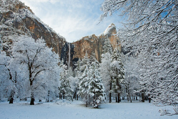Bridalveil Fall in Winter, Yosemite NP