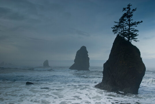 Seastacks are revealed as a four day storm clears along Shi Shi Beach's Point of Arches, in Olympic National Park, WA