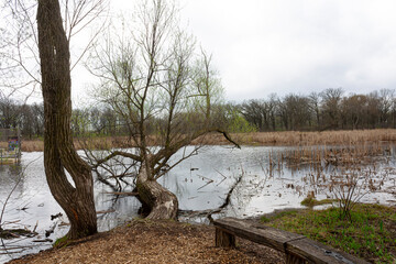 A view of a lake in the winter