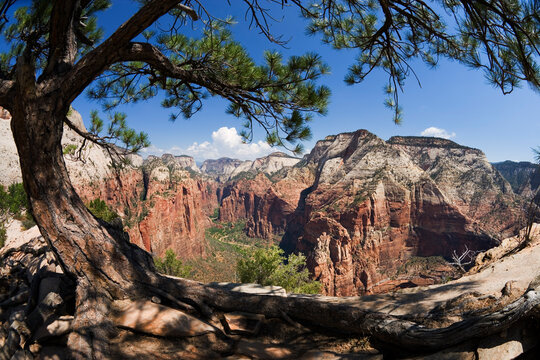 Angels Landing, Zion National Park