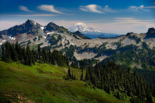 Mt Adams from Panorama Point, Paradise Park, Cascade Range, Mount Rainier National Park
