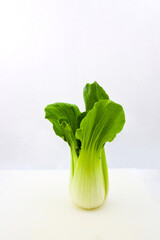 Close-up of a Chinese cabbage on white background