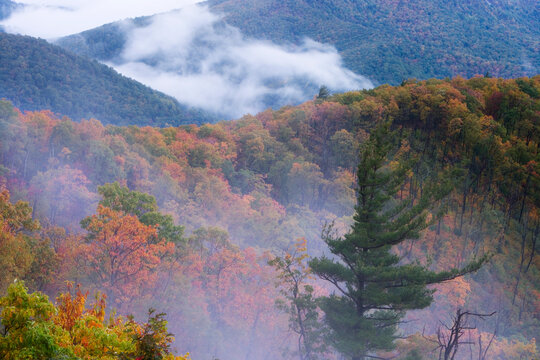 Hemlock Springs Overlook, Shenandoah National Park, Virginia, USA