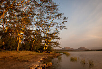 A lake shore image taken in Kenya.