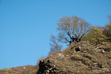 Panorama overlooking the mountains in the clouds. Landscape of the Caucasus Mountains. Fall. Day Georgia.