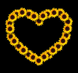 Heart shape frame made of yellow sunflowers flowers isolated on black background. Design element for love concepts designs. Ideal for mothers day and spring themes