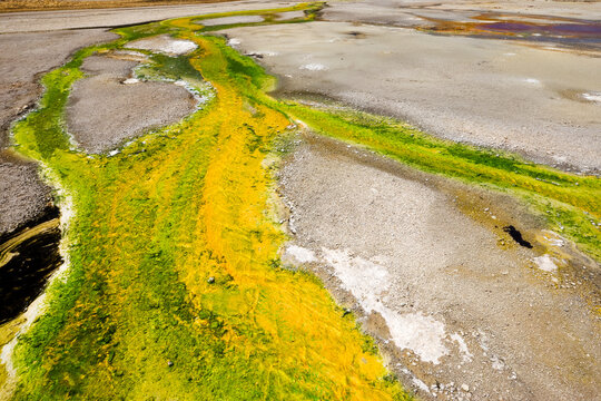 the multiple colors and patterns of geyser bacteria in Yellowstone National Park, Wyoming