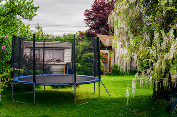 Dough trampoline in the garden near the flowering wisteria. - obrazy, fototapety, plakaty