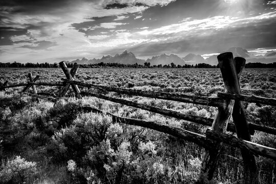 A black and white rendition of a popular hand-built fence. Grand Teton National Park, WY