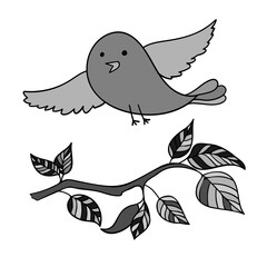 Isolated vector set of abstract black and white branch of blossoming apple leaves and flowers and bird