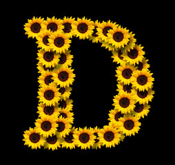 Capital letter D made of yellow sunflowers flowers isolated on black background. Design element for...