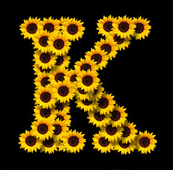 Capital letter K made of yellow sunflowers flowers isolated on black background. Design element for love concepts designs. Ideal for mothers day and spring themes