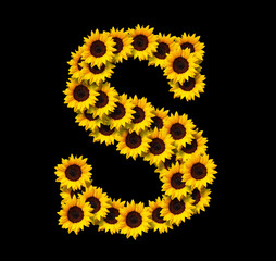 Capital letter S made of yellow sunflowers flowers isolated on black background. Design element for love concepts designs. Ideal for mothers day and spring themes