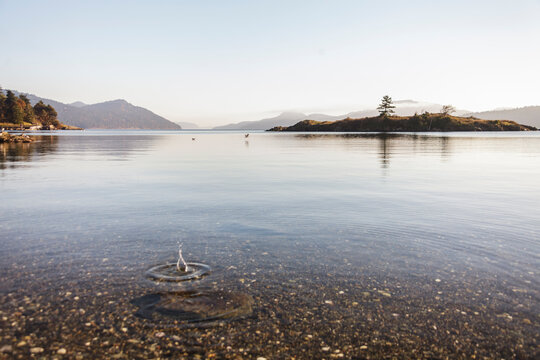 A bloop in the water disrupts a calm surface of water on Orcas Island.