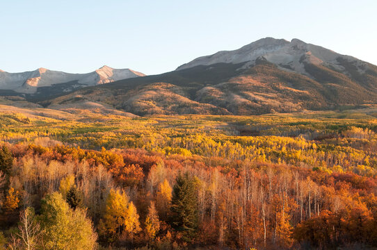 Kebler Pass at sunset during the peak of fall colors in Colorado