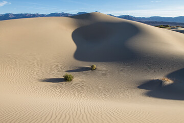 Late afternoon in the Mesquite sand dunes in Death Valley, California.