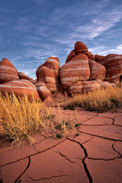 Textures of the desert floor give a nice prelude to the fleeting flora growing amongst striped sandstone formations, remnant of ages past.