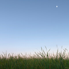 Dusk in the prairie wetlands at Voas Nature Area near Minburn, Iowa