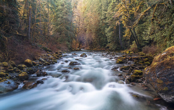 Little Tamihi Creek, Chilliwack, Canada