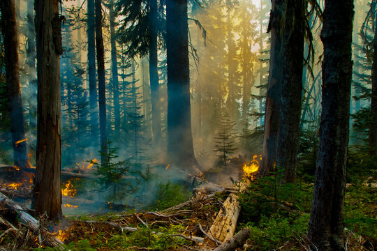 The Crofton fire burned for three days on the South-East slope of Mt. Adams, a dormant volcano in Washington State.