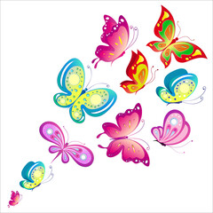 butterfly798
