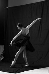 Young beautiful skinny ballerina is posing in studio