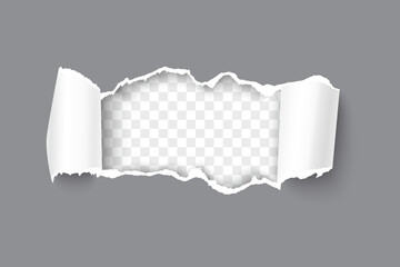 Realistic vector gray torn open paper with rolled sides and space for text on transparent horizontal background. Torn strip of paper with torn edges.