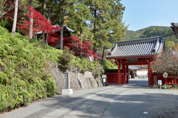 本圀寺　赤門　京都市山科区