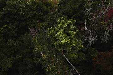 Aerial of Abandoned & Overgrown Roller Coaster - Williams Grove Amusement Park - Pennsylvania
