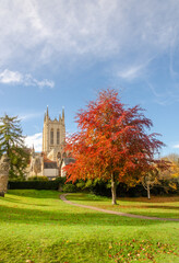 Autumn picture of St Edmundsbury Cathedral with a beautifuly colourful red tree.