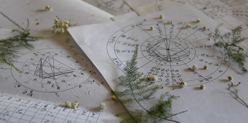 Printed astrology natal charts with small yellow flowers and fragile green plant branches, ...