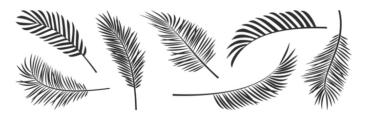 Palm leaf vector black silhouettes, summer branch plant jungle coconut tree, nature set icon isolated on white background. Tropic illustration - obrazy, fototapety, plakaty