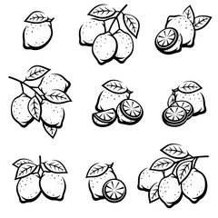 Lemon set. Collection icon lemons. Vector