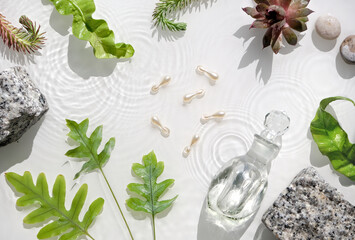 Water splashes, cosmetic skincare, background with face serum capsules. Exotic fern and succulent...