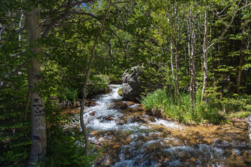 Glacier Creek, Rocky Mountain National Park, Colorado