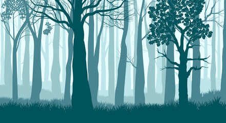 Foggy forest. Silhouettes of trees in the misty forest. Dark Blue landscape. Vector