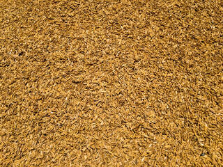 Rice husk or rice hulls use for various purpose. It is the hard coating of rice.