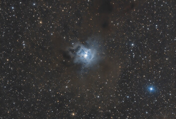 Obraz na płótnie Canvas Nebulosa NGC 7023